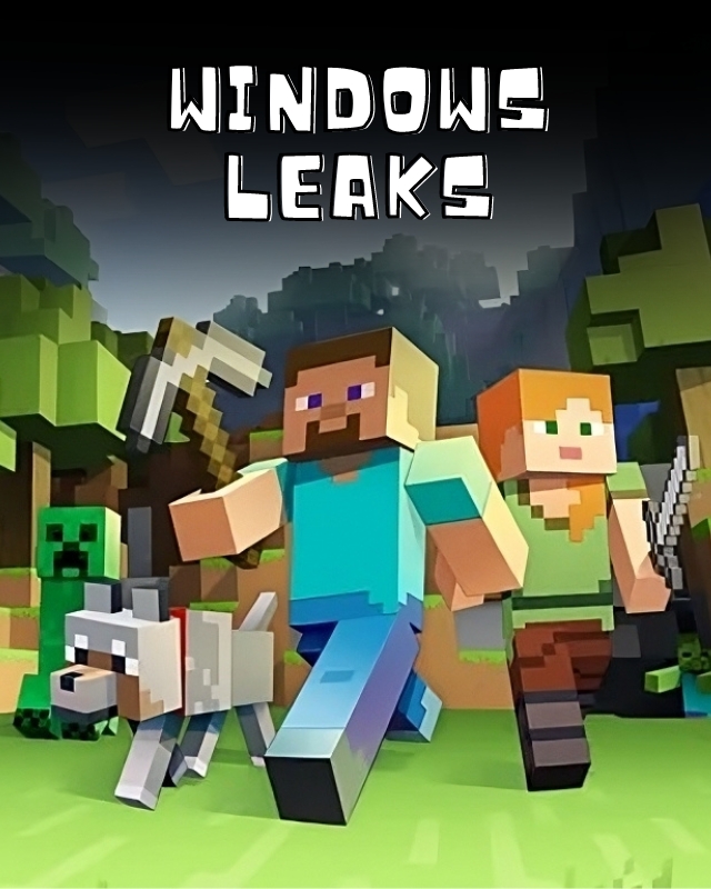 Windows Leaks
